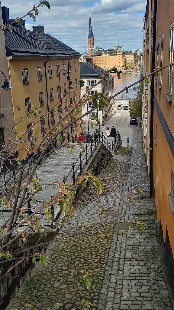 Stockholm (26)